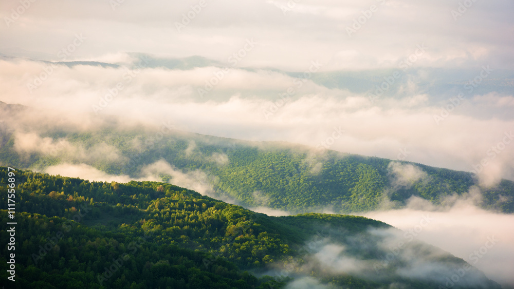 morning fog in mountains. alpine scenery. countryside landscape in spring. breathtaking nature environment. tranquil weather morning fog in mountains. alpine scenery. countryside landscape in spring. breathtaking nature environment. tranquil weather