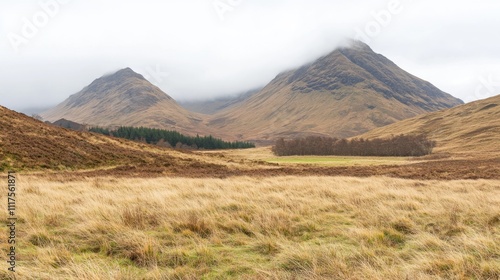 Misty Mountains and Golden Grasslands Landscape