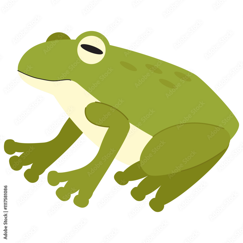 Fototapeta premium Frog Illustration