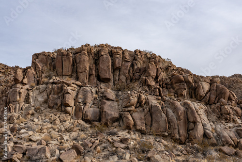 Mesozoi Plutonic Rocks, Gray biotite - rich granodiorite to quartz diorite. granite. Cottonwood Mountains . Colorado Desert section of the Sonoran Desert. Joshua Tree National Park, California. 