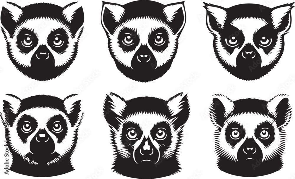 Fototapeta premium Exotic Lemur Head Illustration for Nature Designs 