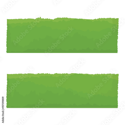 Green fence rectangular shape boxwood bush, shrub for garden decoration
