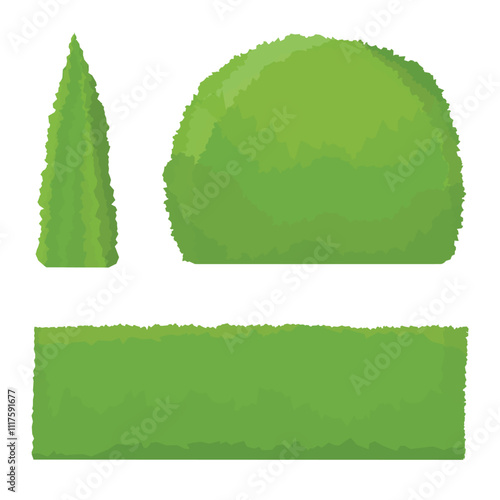 Thuja tree, round shape bush, shrub and green fence isolated on white background. Garden decoration elements