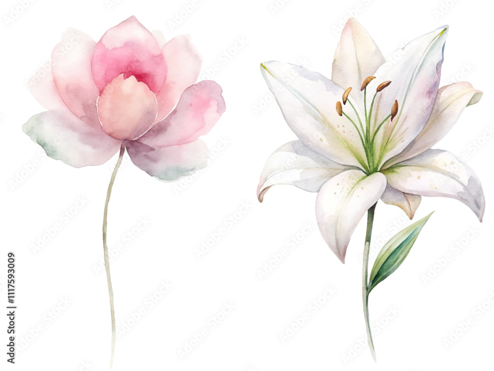 Obraz premium Two flowers, one pink and one white, are shown side by side
