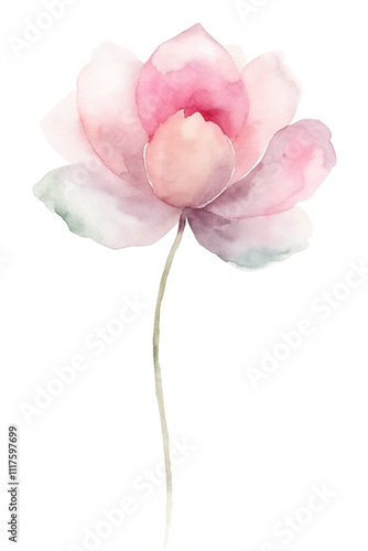 A watercolor painting of a pink flower with a green stem