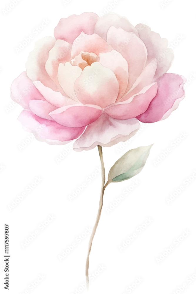 A watercolor painting of a pink flower with a green stem A watercolor painting of a pink flower with a green stem