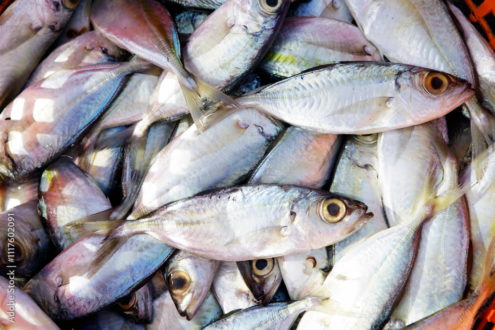 Freshly Caught Fish in a Large Basket, Vibrant and Raw Display Freshly Caught Fish in a Large Basket, Vibrant and Raw Display