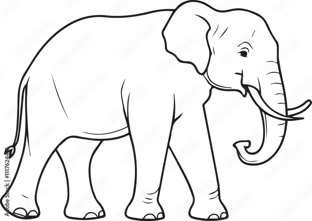 Fototapeta premium Elephant Coloring Page