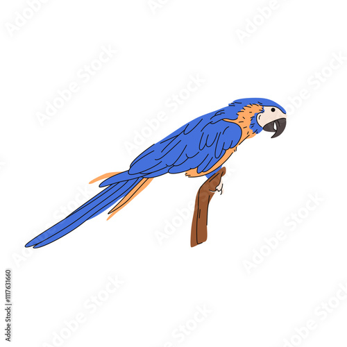 Vector blue parrot or cartoon tropical bird with blue feathers. Jungle exotic vocal mimicry species or talking animal. Rainforest or tropical wood flyer. Avian zoology sign or zoo symbol, biology card