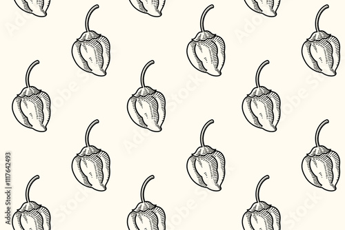 spicy chili seamless pattern on white background. vintage chili vector pattern background. hot chili doodle hand drawn isolated seamless pattern. seamless pattern of spicy chili background