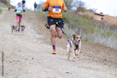 Several athletes and their dogs taking part in a popular canicross race photo