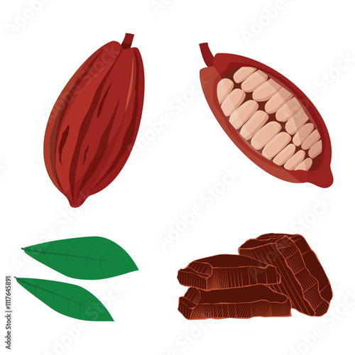 Cocoa pod with leafs, half sliced cacao pod with cacao beans inside