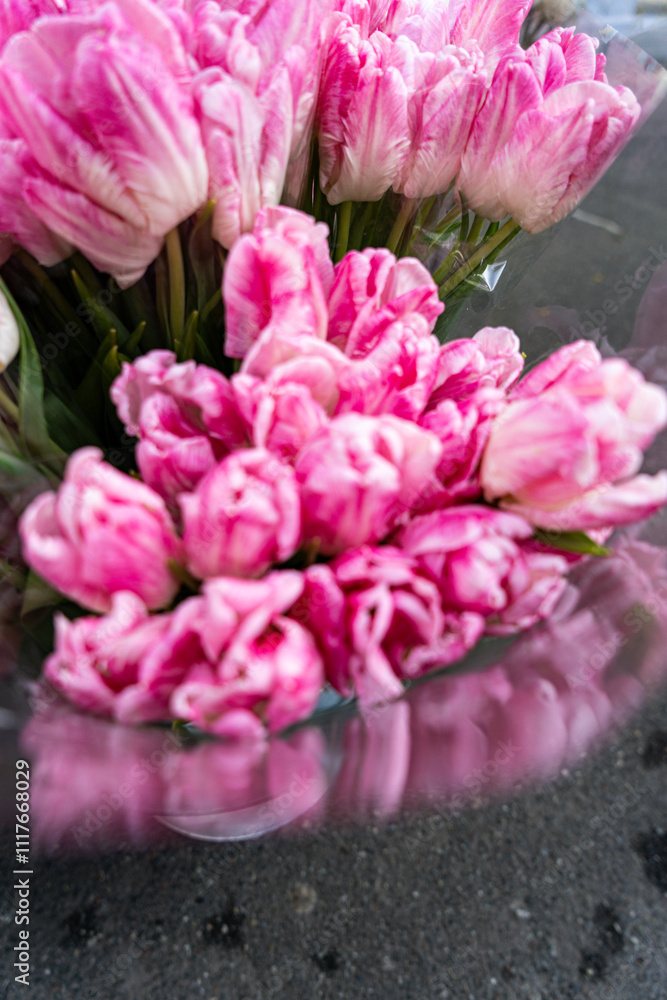 Obraz premium pink tulips in a garden
