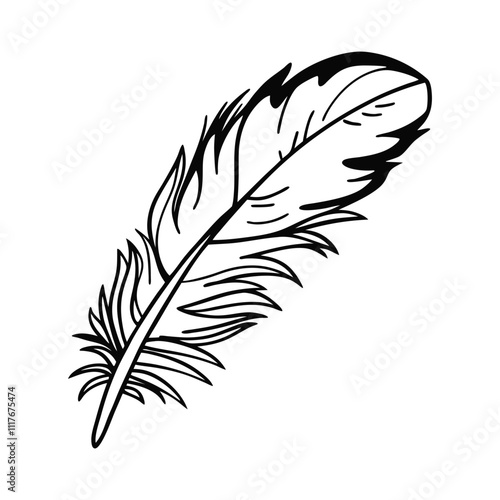 black feather silhouette design  illustration