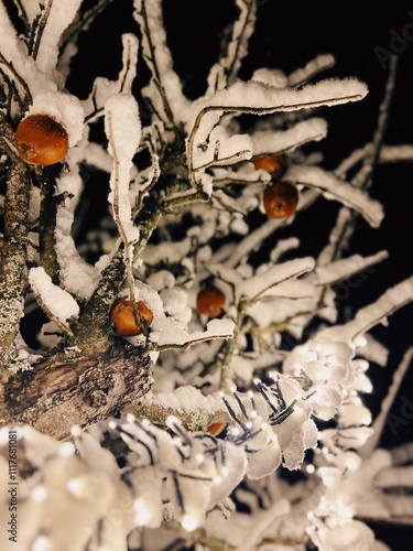 Apples in Winter Apple Tree Covered in Fresh Snow Illuminated with Fairy Lights at Night, Cozy Swedish Winter with Christmas Feel