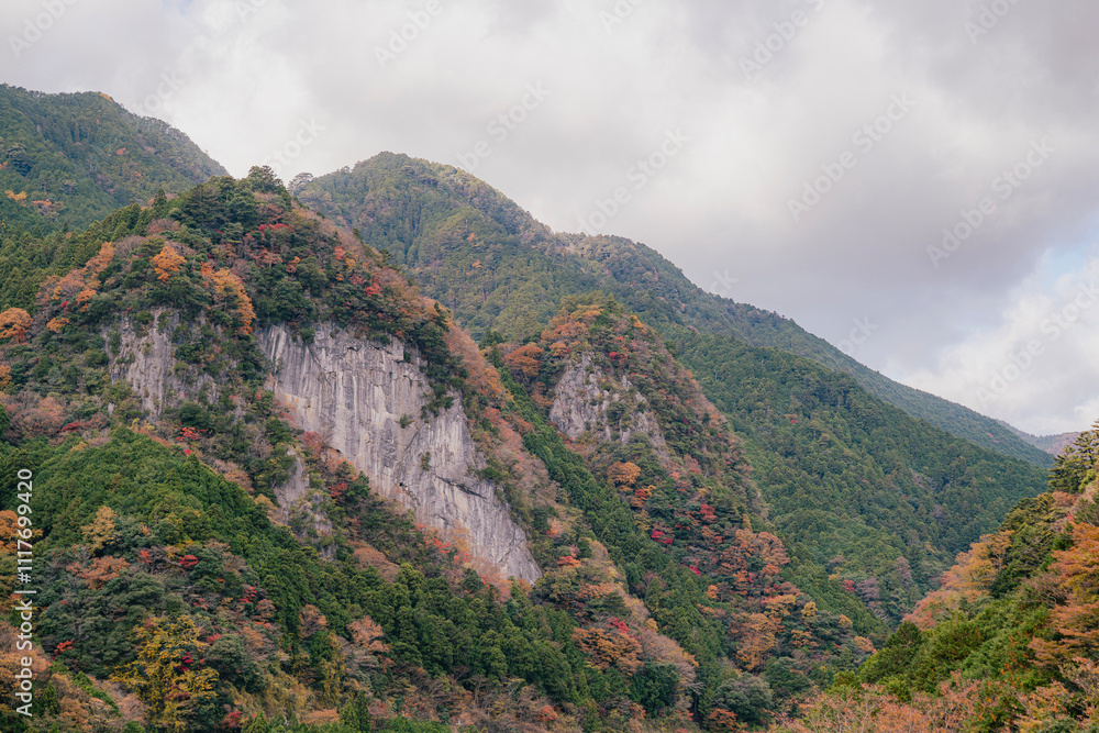 Fototapeta premium view of the mountains in autumn season