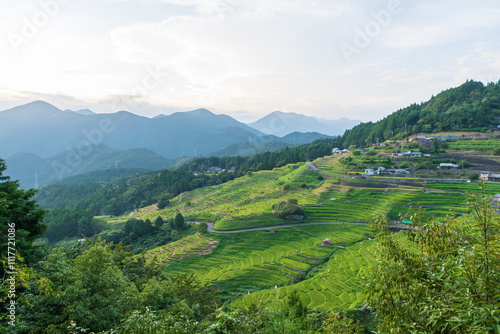 丸山千枚田の美しい棚田風景 photo