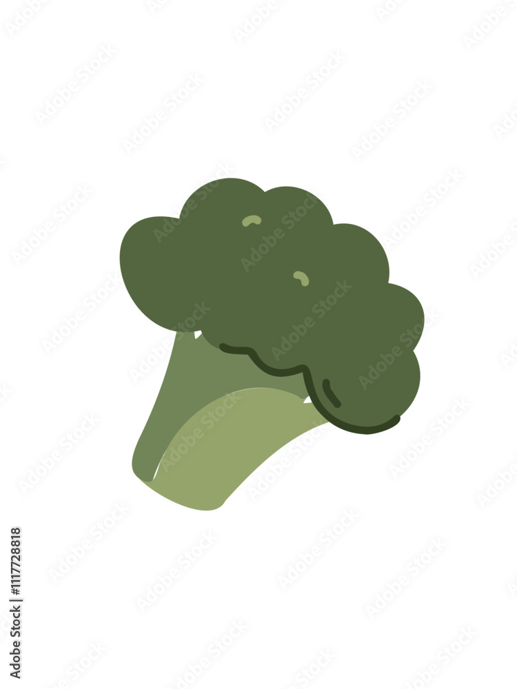 Vector drawing of a bunch of broccoli on a white background Vector drawing of a bunch of broccoli on a white background