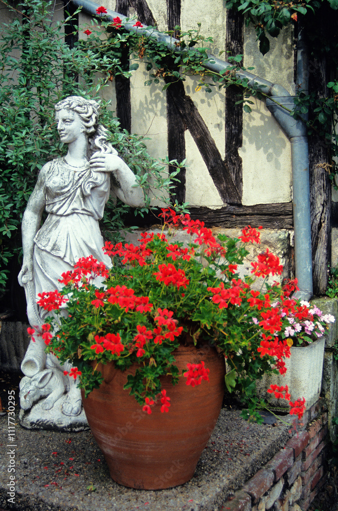Geraniums in a container by French house Geraniums in a container by French house
