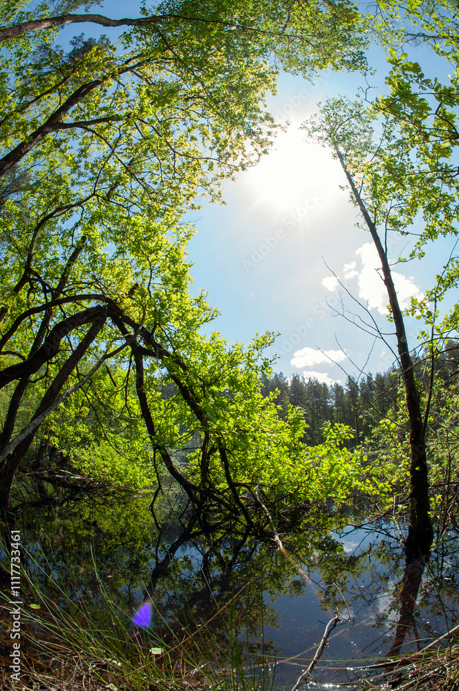 Green forest reflected in the calm water of the lake, beauty in nature. Green forest reflected in the calm water of the lake, beauty in nature.