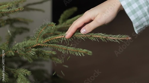 Woman's hand touches spruce branch and many green needles are falling from Christmas tree natural fir branches. The end of Xmas holidays at home. Wintertime vacations festive season.