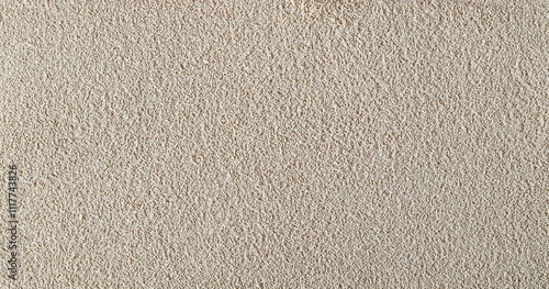 Wallpaper Mural Active dry yeast background and texture, top view Torontodigital.ca