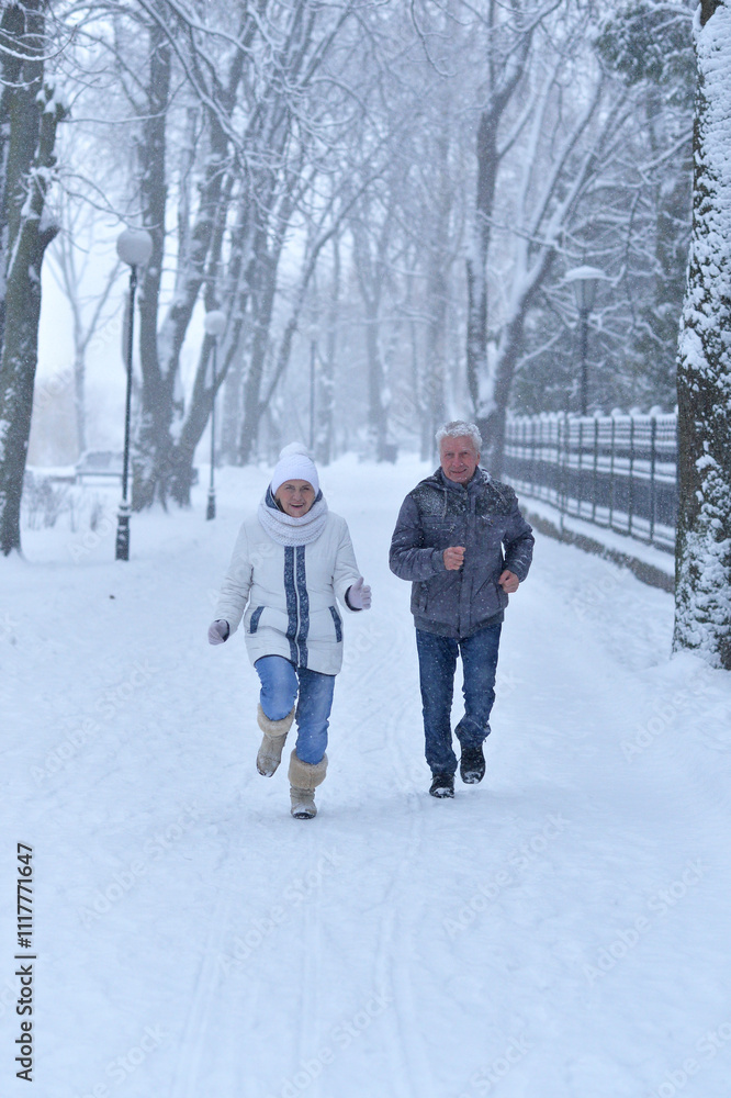 An elderly couple walks in a winter park An elderly couple walks in a winter park