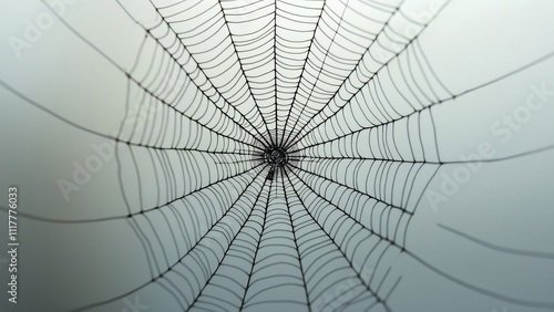 Intricate Black Spiderweb on Translucent Gradient Background, Ethereal, Mysterious, and Delicate AI Art photo