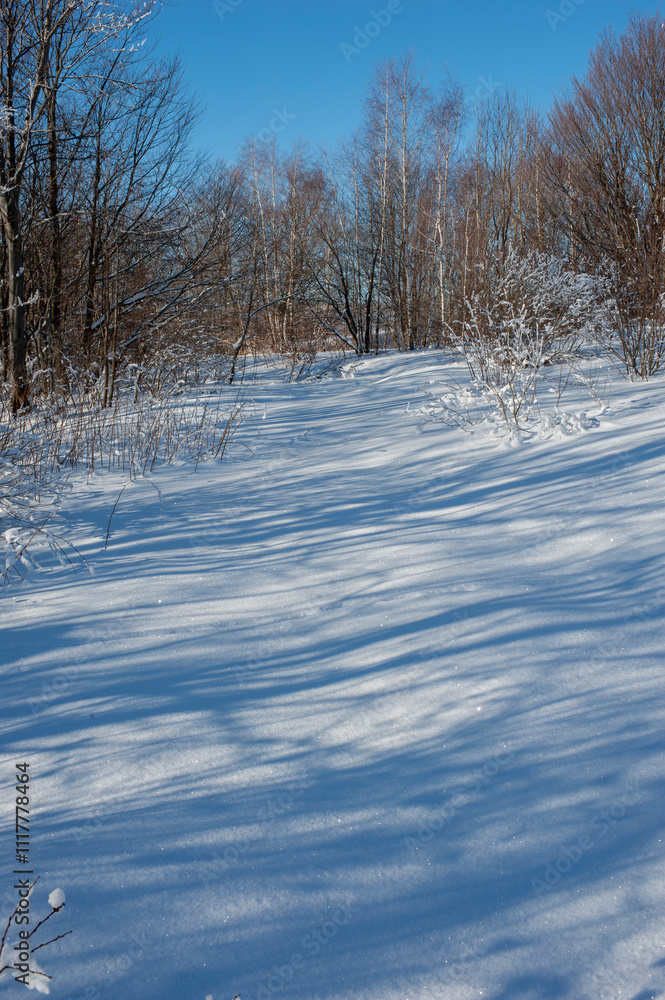 Winter landscape in the mountains, snowy winter landscapes, frosty mornings Winter landscape in the mountains, snowy winter landscapes, frosty mornings