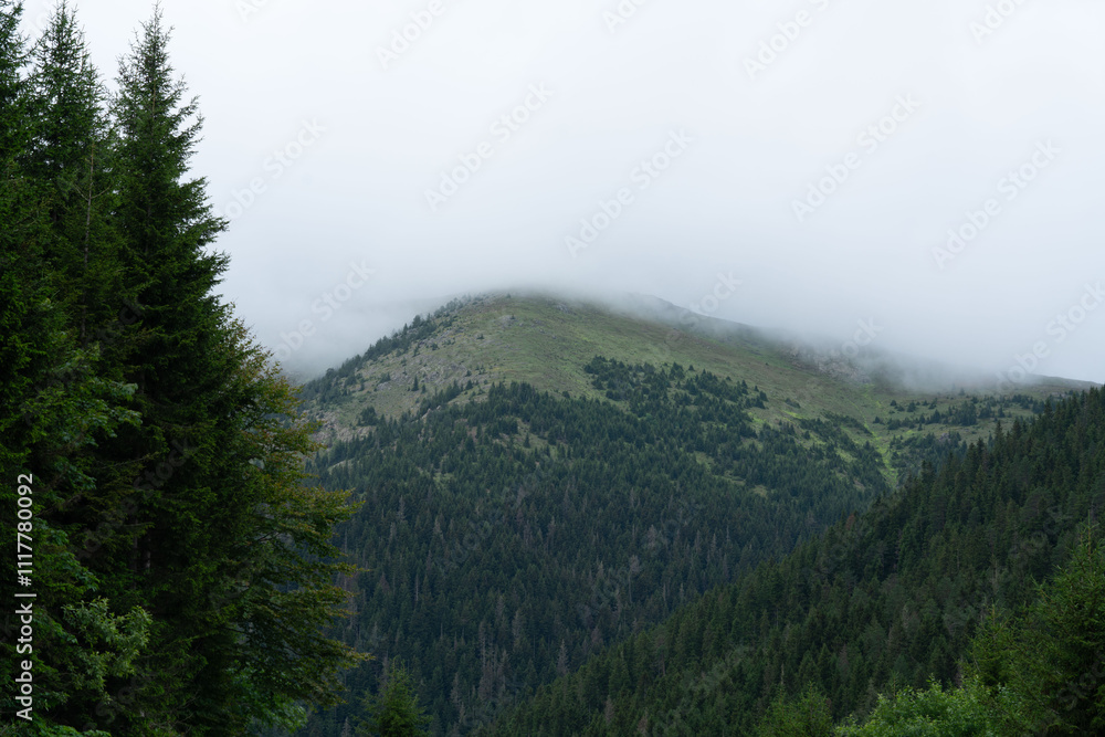 Discover the Magic of Nature - Unique Landscape Photos Discover the Magic of Nature - Unique Landscape Photos