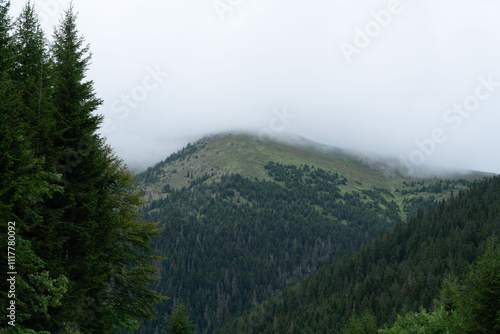Discover the Magic of Nature - Unique Landscape Photos 