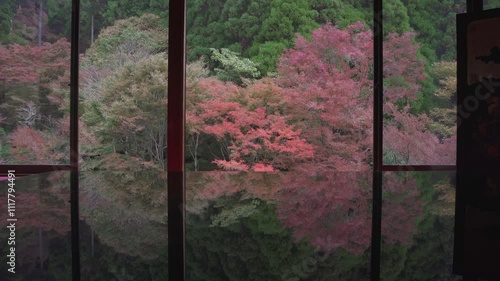 環境芸術の森の風遊山荘から見る紅葉の風景
