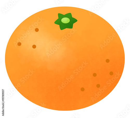 大きなみかんのイラスト
