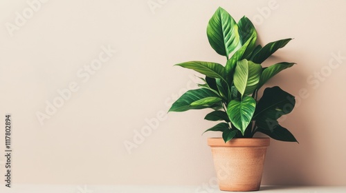 Lush Green Indoor Plant in Clay Pot Against Soft Neutral Background