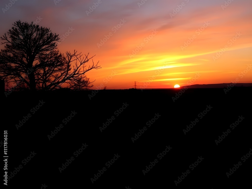 sunset sunset