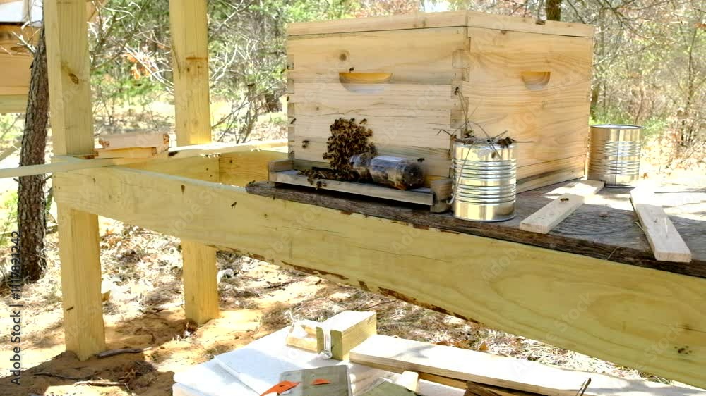 Super slow motion shot of bees swarming around entrance to partially dismantled beehive as some fly out and in after mowing new family and its queen into this beehive