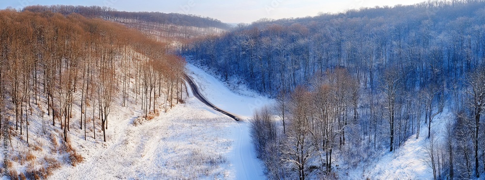 Aerial View of Snow-Covered Forest with Road in Winter. AI generated illustration Aerial View of Snow-Covered Forest with Road in Winter. AI generated illustration