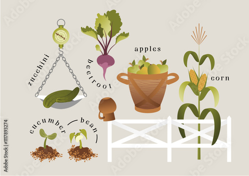 Vegetable garden set