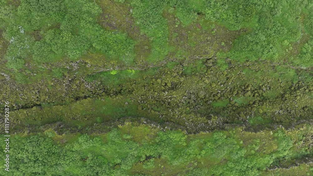 A close-up aerial view of a tectonic rift in Thingvellir National Park, Iceland, showcasing green moss, rocky terrain, and natural fissures. A close-up aerial view of a tectonic rift in Thingvellir National Park, Iceland, showcasing green moss, rocky terrain, and natural fissures.