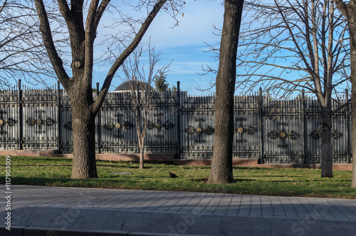 a sidewalk with autumn oaks, a black raven on the green grass, a metal fence against the blue sky