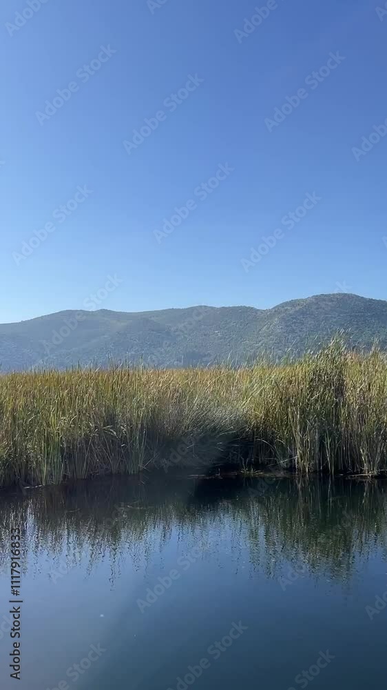 Scenic Boat Ride Through the Serene Swamps and Tranquil Waters of Lake Kuti in the Picturesque Neretva Valley, Croatia Scenic Boat Ride Through the Serene Swamps and Tranquil Waters of Lake Kuti in the Picturesque Neretva Valley, Croatia