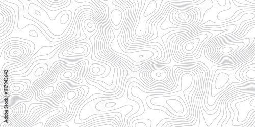 Abstract topographic map background. Topographic map lines contour background. 
