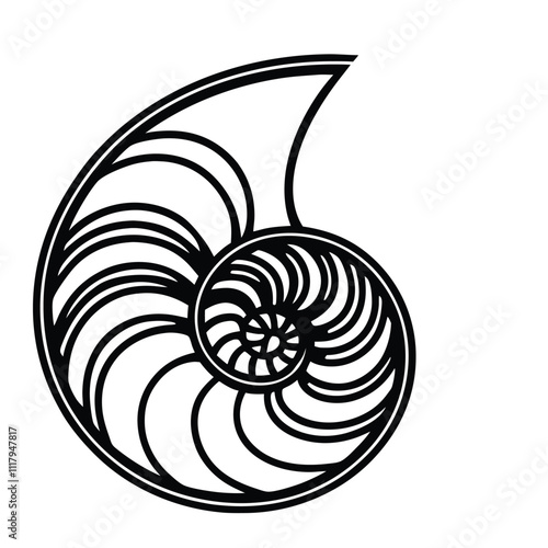 a black and white line drawing of a nautilus shell