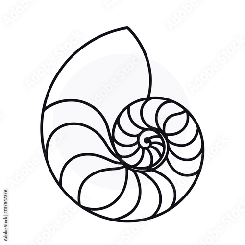 a black and white line drawing of a nautilus shell
