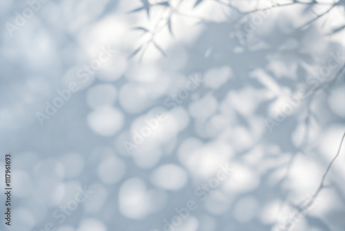 Abstract Tree Leaves Shadow on White Wall - Natural Minimalist Design