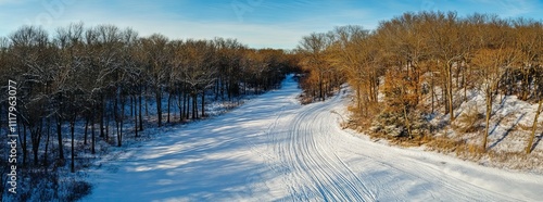 Wallpaper Mural Aerial View of Snow-Covered Forest with Road in Winter. AI generated illustration Torontodigital.ca