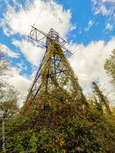 high voltage power line