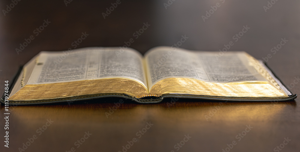 Bible close-up. Open holy book Bible. Christianity, faith and religion concept. Bible close-up. Open holy book Bible. Christianity, faith and religion concept.