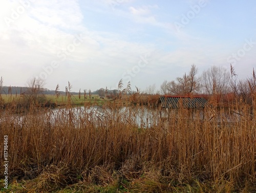 View of a pond on the shore of which a wooden gazebo is hidden behind tall stems of dry reeds.