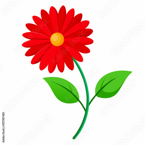 red gerbera flower